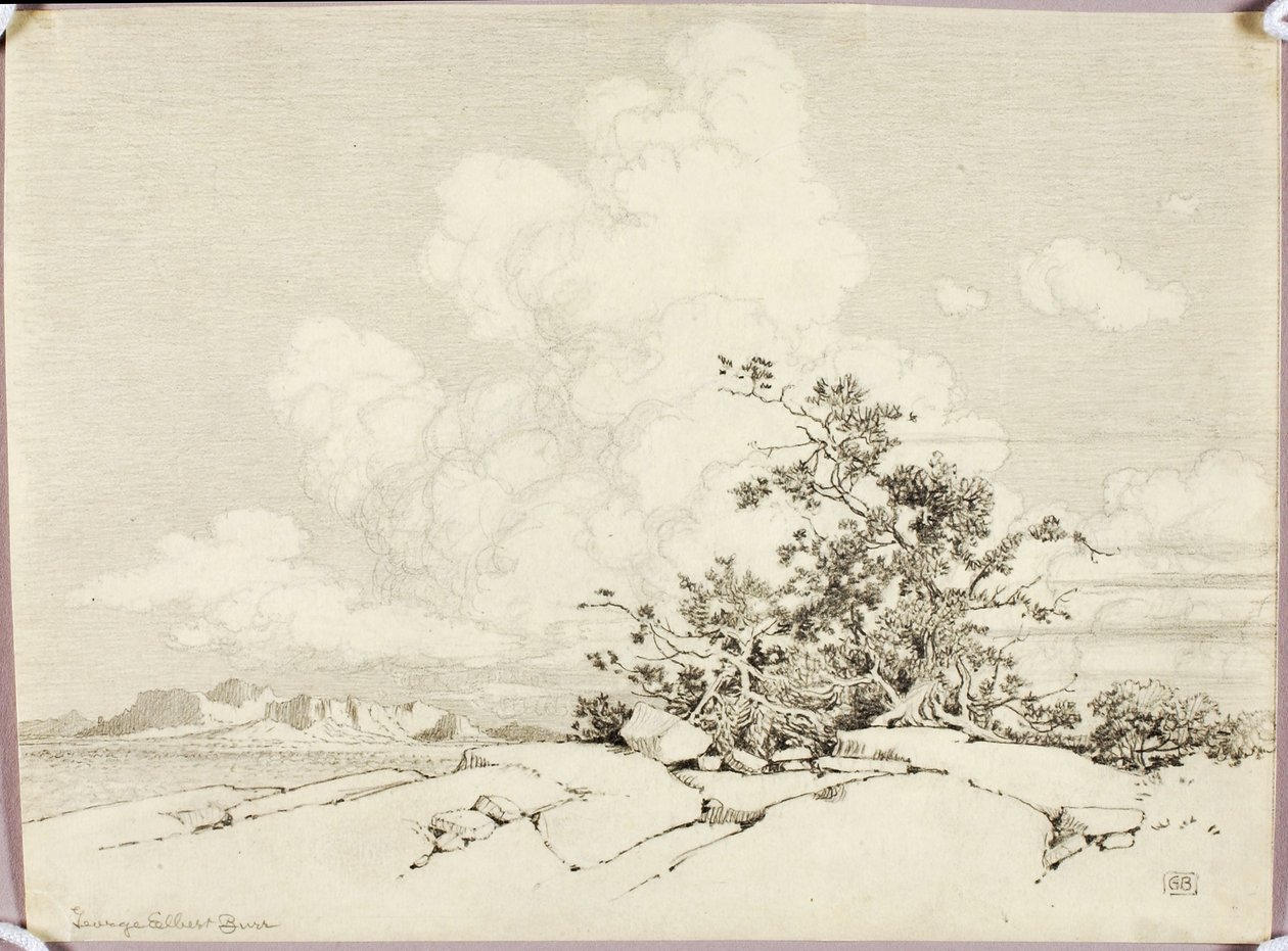 Senza titolo da George Elbert Burr