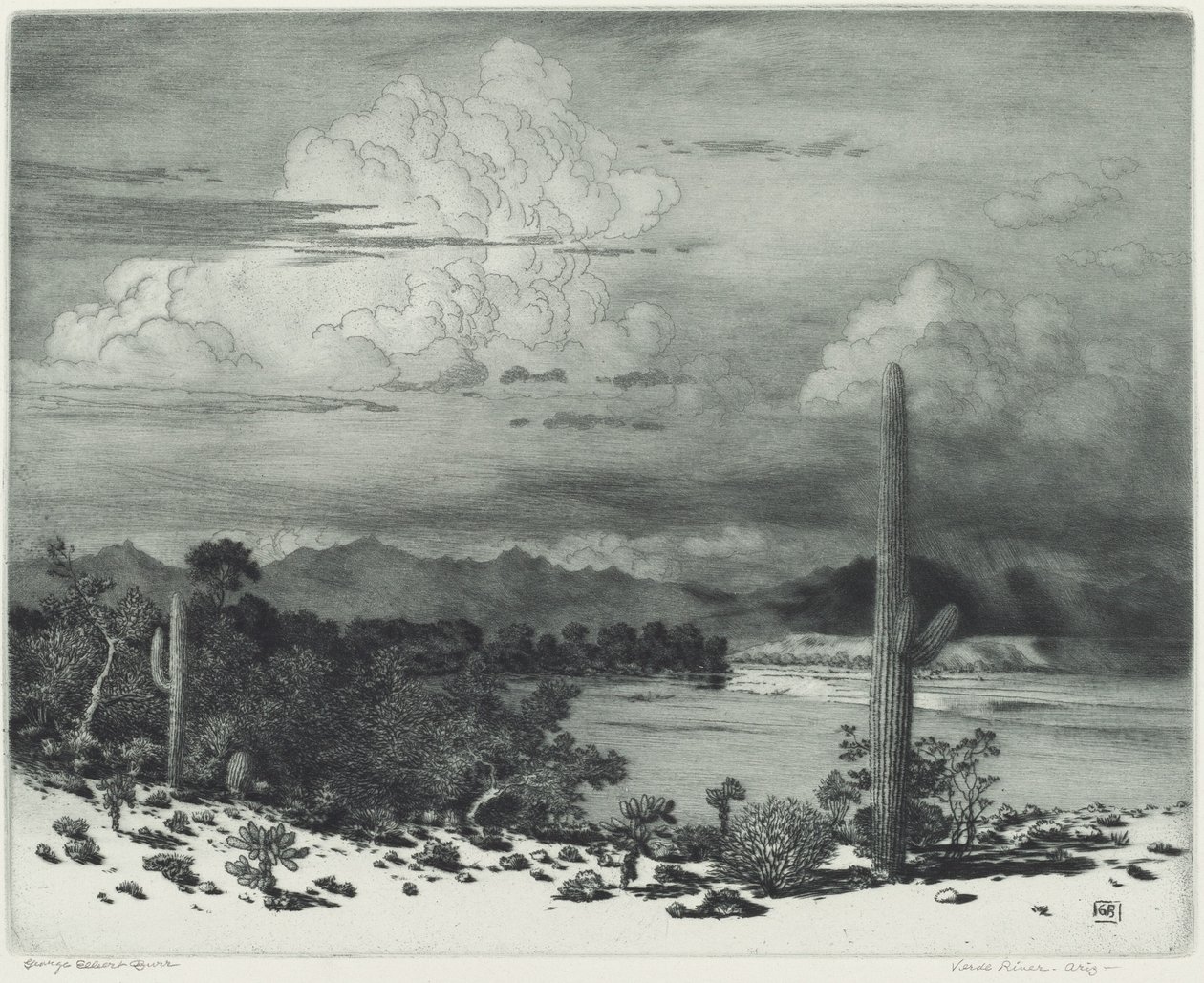 Fiume Verde, Arizona da George Elbert Burr