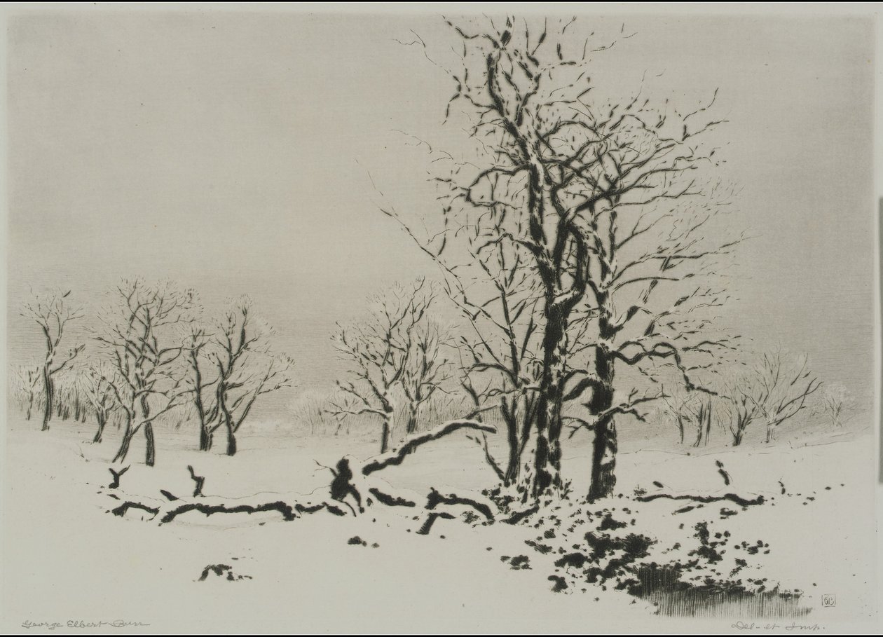 Inverno (n. 1) da George Elbert Burr