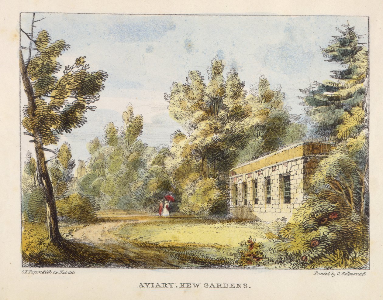 Voliera, Kew Gardens, tavola 10 da Kew Gardens: Una serie di ventiquattro disegni su pietra, incisa da Charles Hullmandel da George Ernest after Papendiek