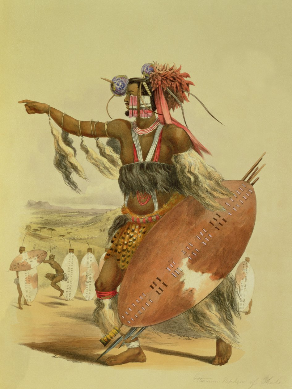 Guerriero Zulu, Utimuni, nipote di Chaka il defunto re Zulu, tavola 13 da 