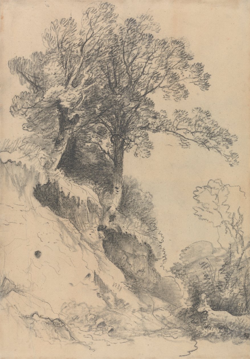 Alberi su una Sponda in Rovina da George Frost