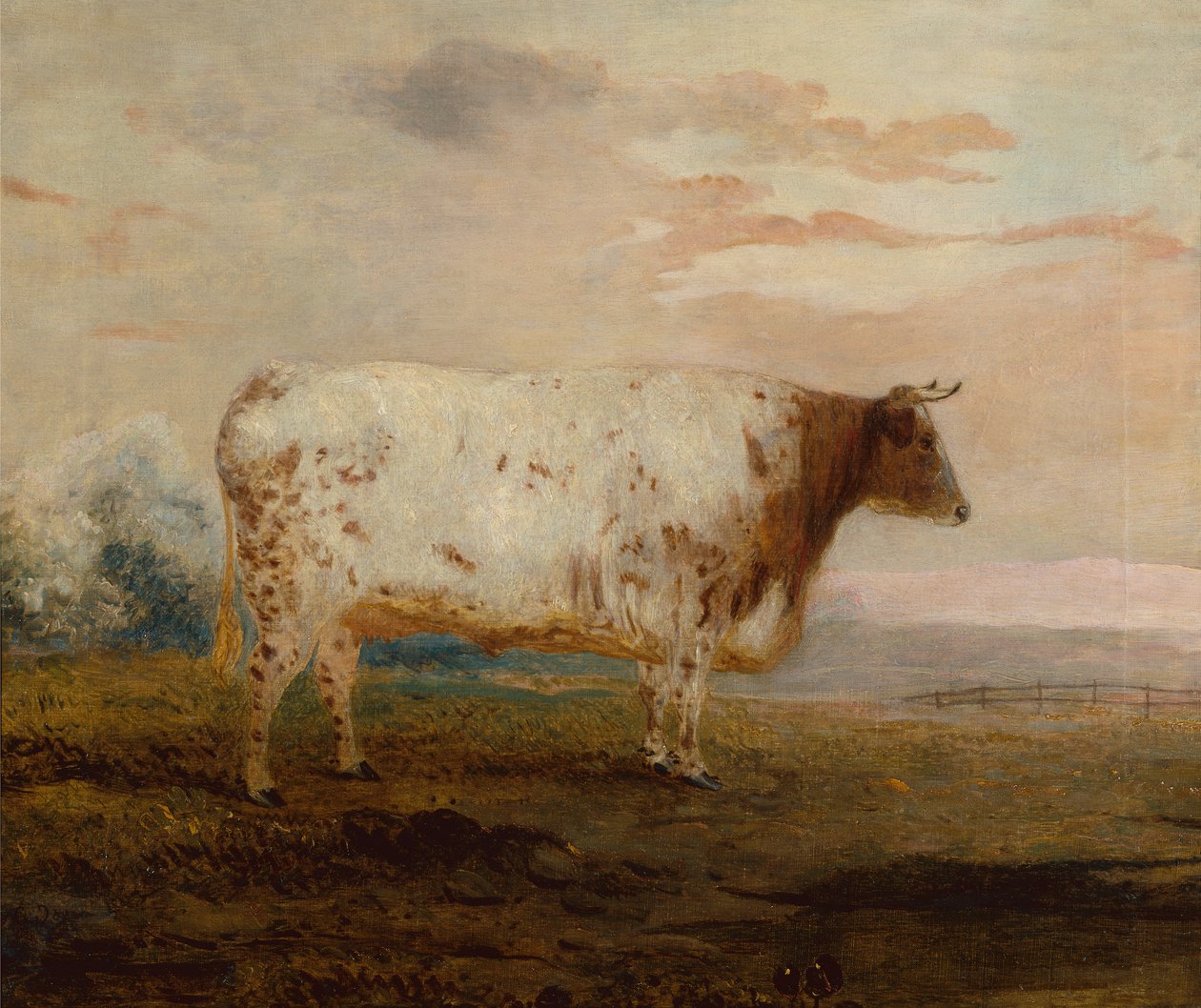 Giunone, una mucca a corna corte rossa in un paesaggio esteso da George Garrard