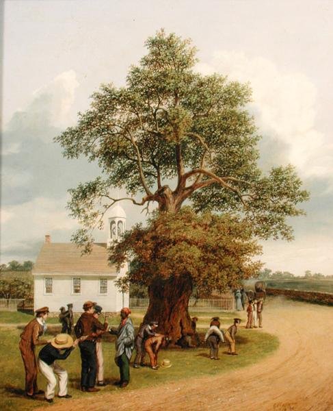 La quercia dell