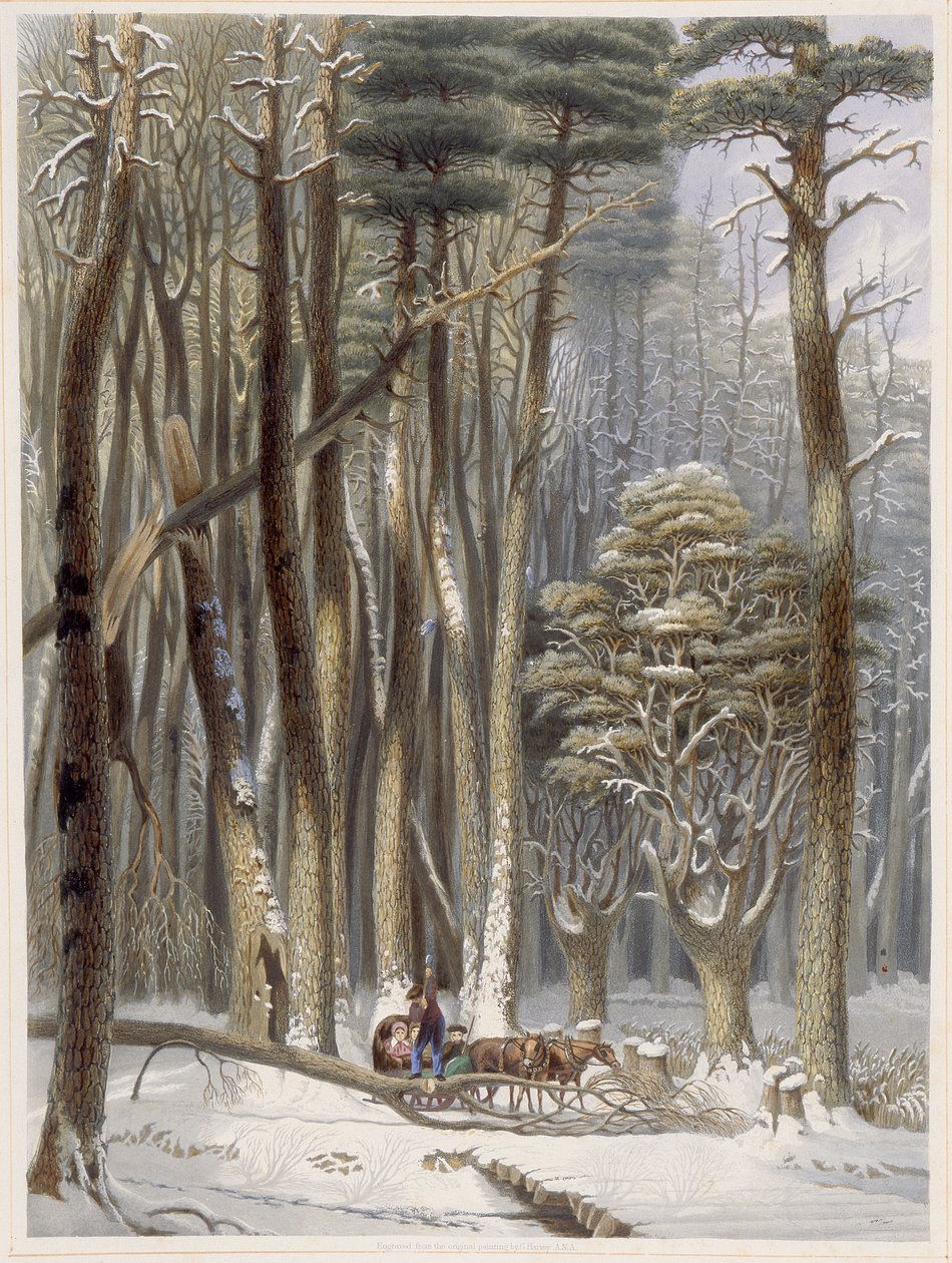 Inverno, viaggiatori ostacolati in una foresta di pini, da Scene della foresta primitiva d