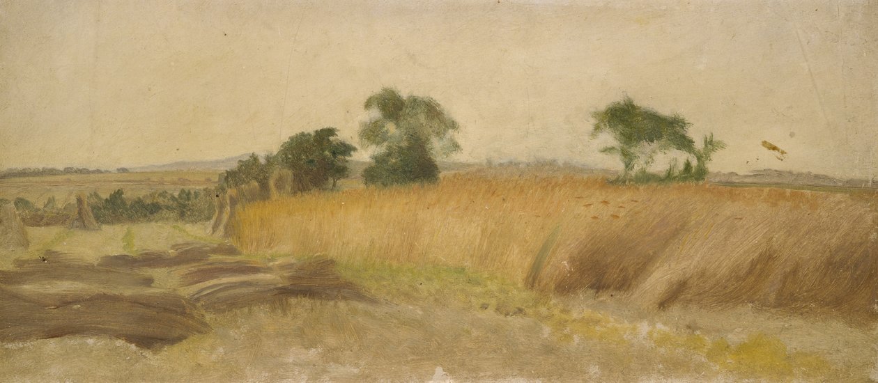 Studio di un campo di grano da George Hemming Mason