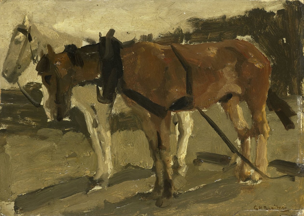 Un cavallo marrone e uno bianco a Scheveningen da George Hendrik Breitner