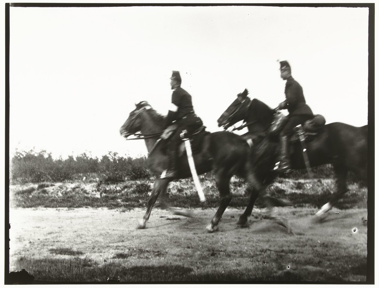 Cavalieri gialli dell
