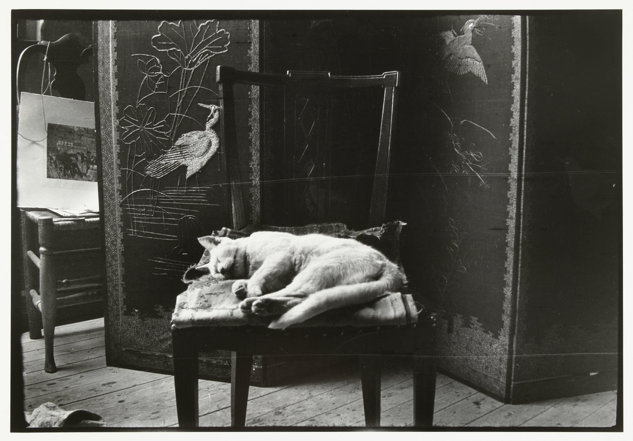 Gatto su una sedia nello studio di Breitner ad Amsterdam da George Hendrik Breitner