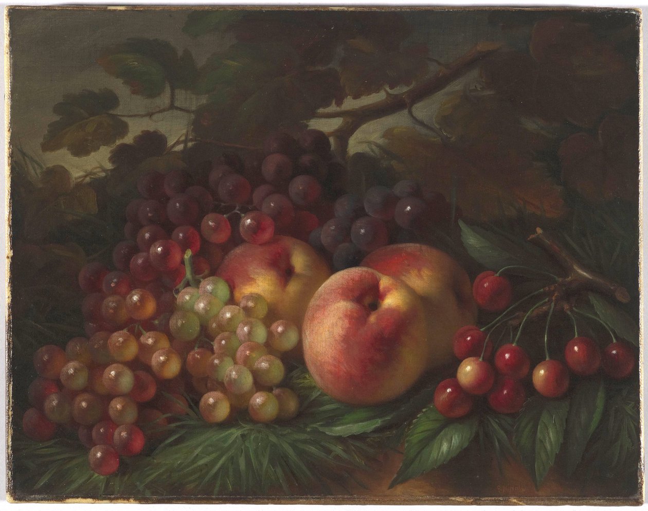 Pesche, uva e ciliegie da George Henry Hall