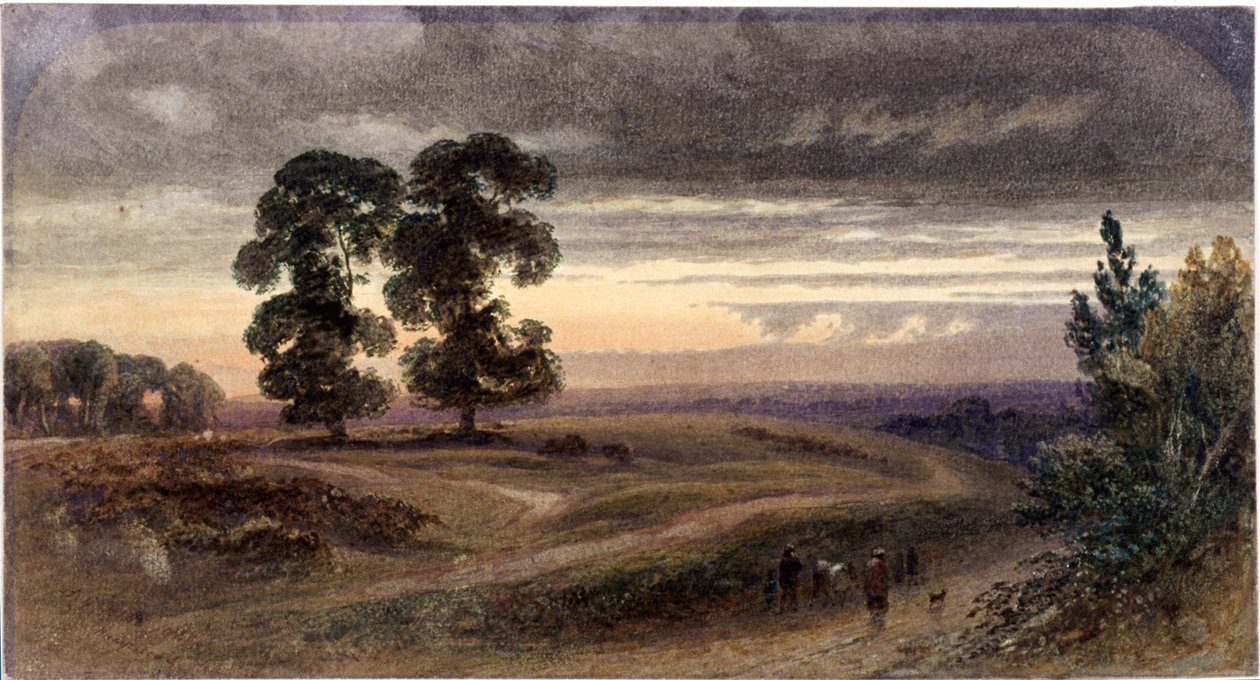 Veduta Generale di Hampstead, Londra, 1849 da George Henry Hine