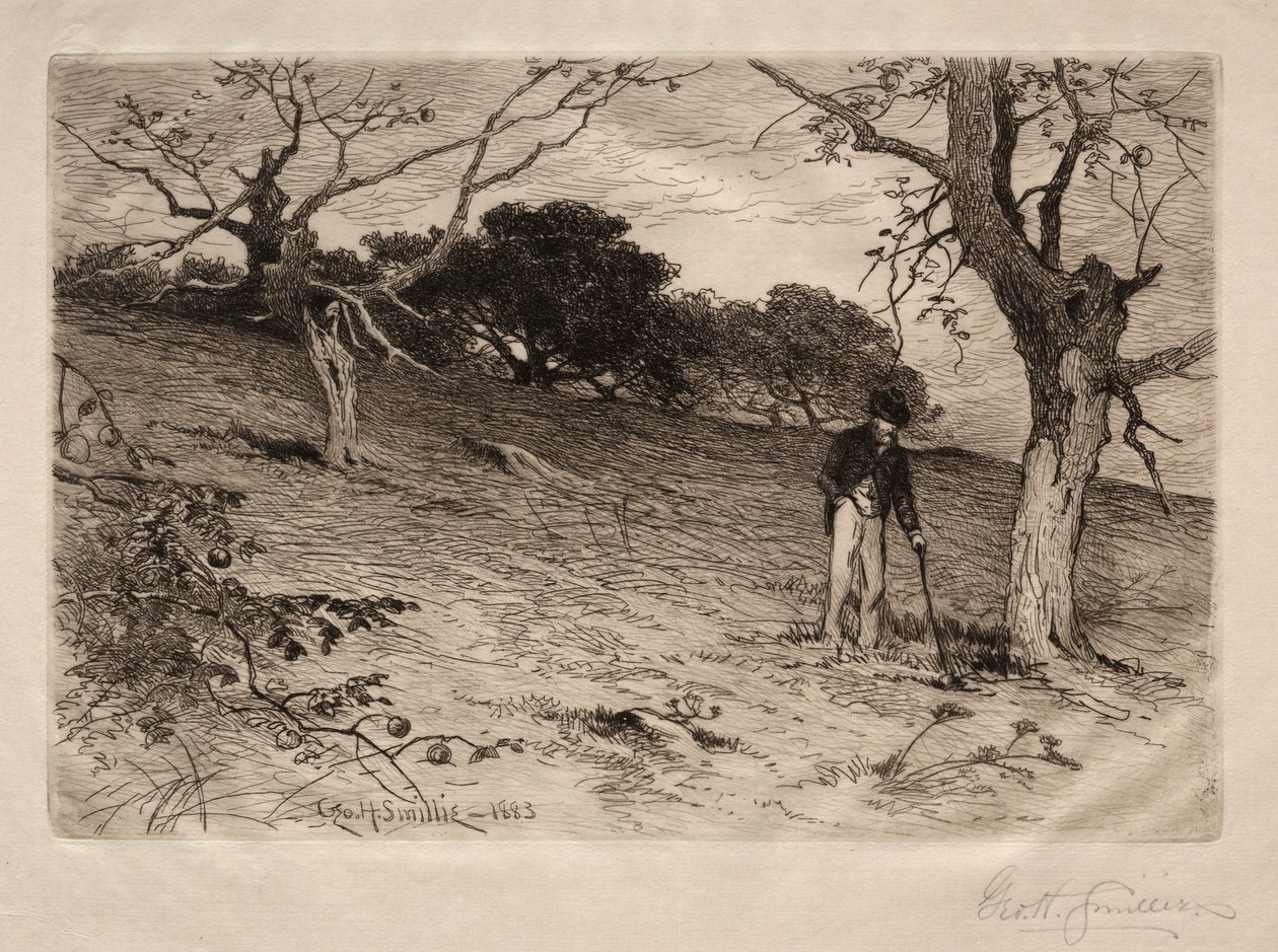 Un vecchio frutteto del New England, 1883 da George Henry Smillie