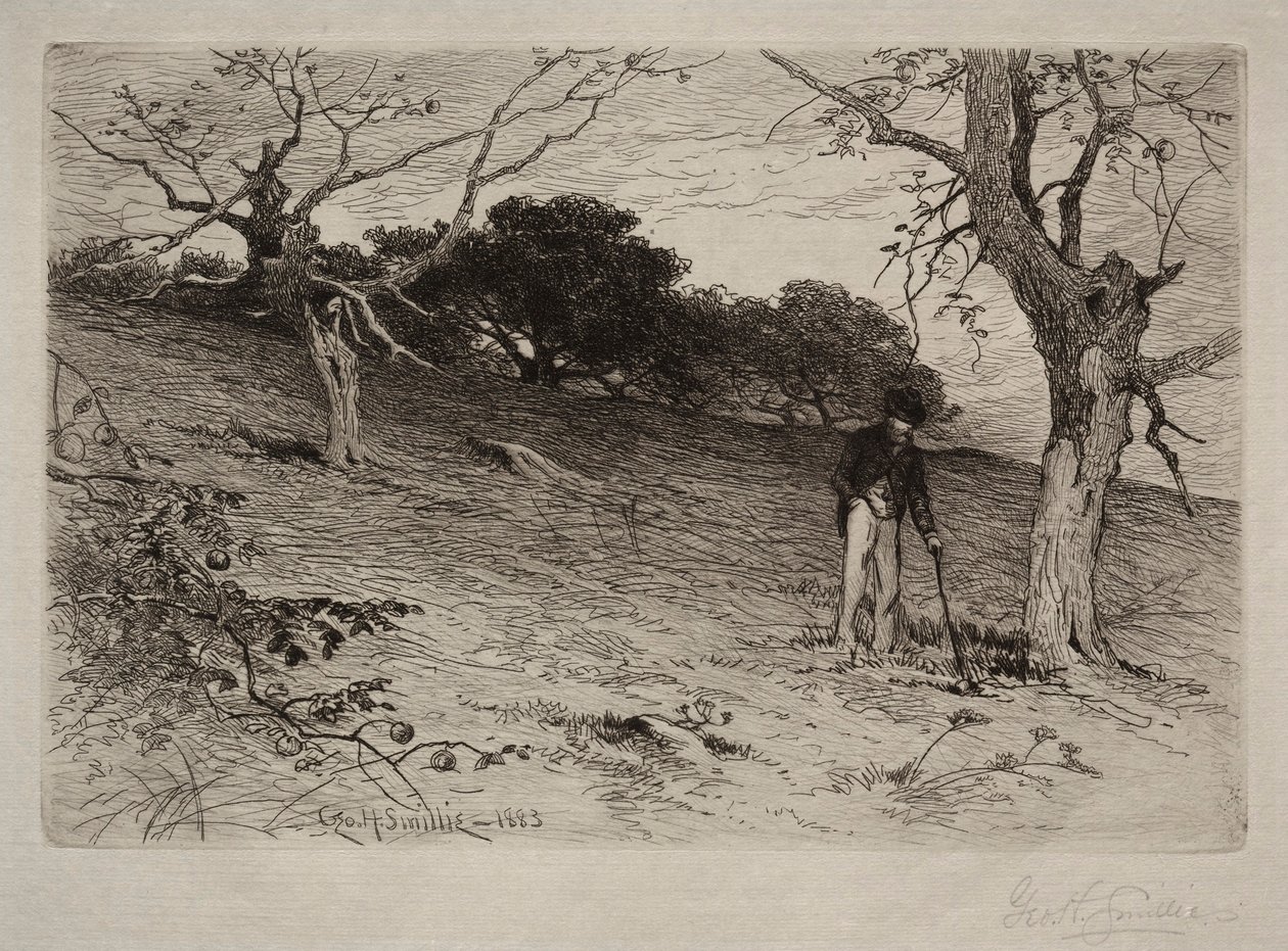 Paesaggio, 1883 da George Henry Smillie