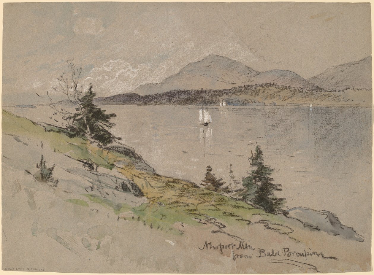 Monte Newport da Bald Porcupine da George Henry Smillie