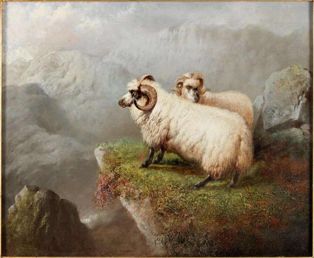 Pecore su un bordo di scogliera, c.1865-68 da George Hepper