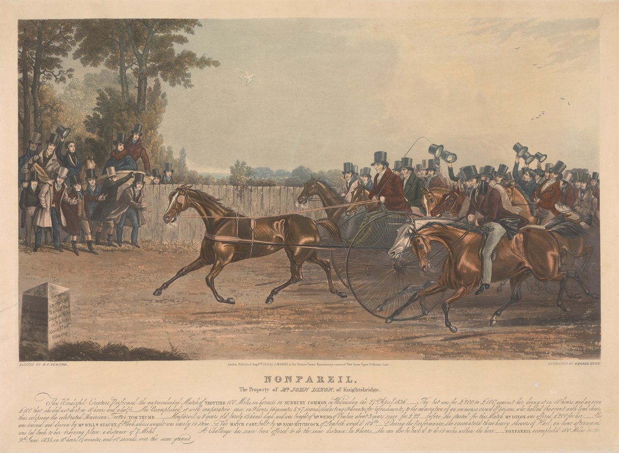 "Nonpareil" / La proprietà del signor John Dixon di Knightsbridge / Questa creatura meravigliosa, ha eseguito la partita senza precedenti, di trottare 100 miglia in imbracatura su Sunbury Common, mercoledì 27 aprile 1836... da George Hunt