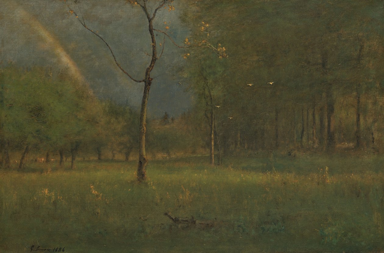 Dopo il rovescio di pioggia da George Inness