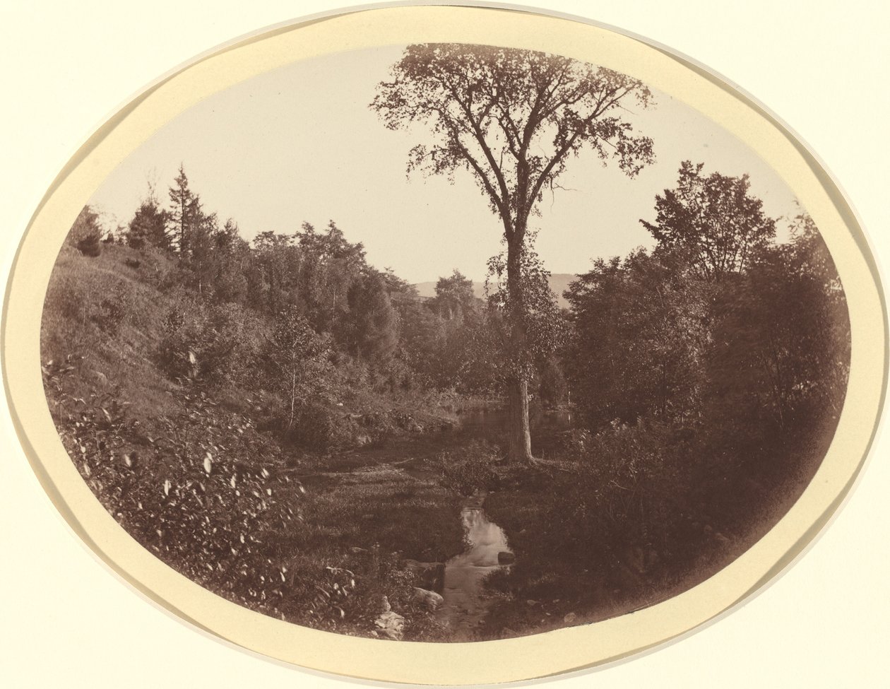 Paesaggio vicino al Williams College da George Kendall Warren