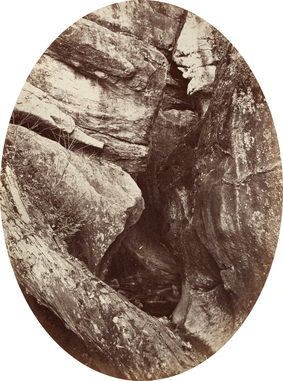 Cascata vicino al Williams College, c. 1870 da George K Warren