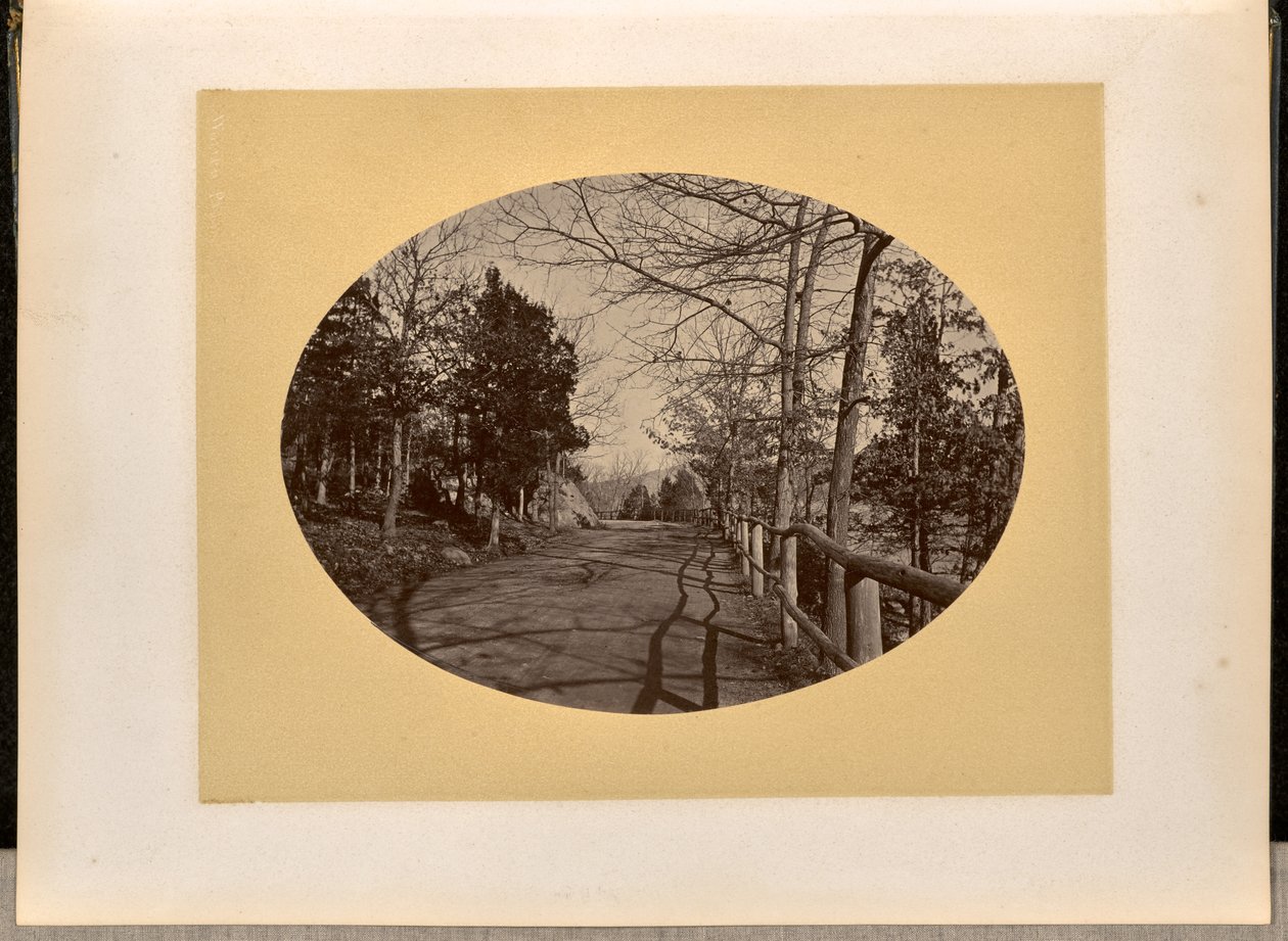 [Straße, West Point] da George Kendall Warren