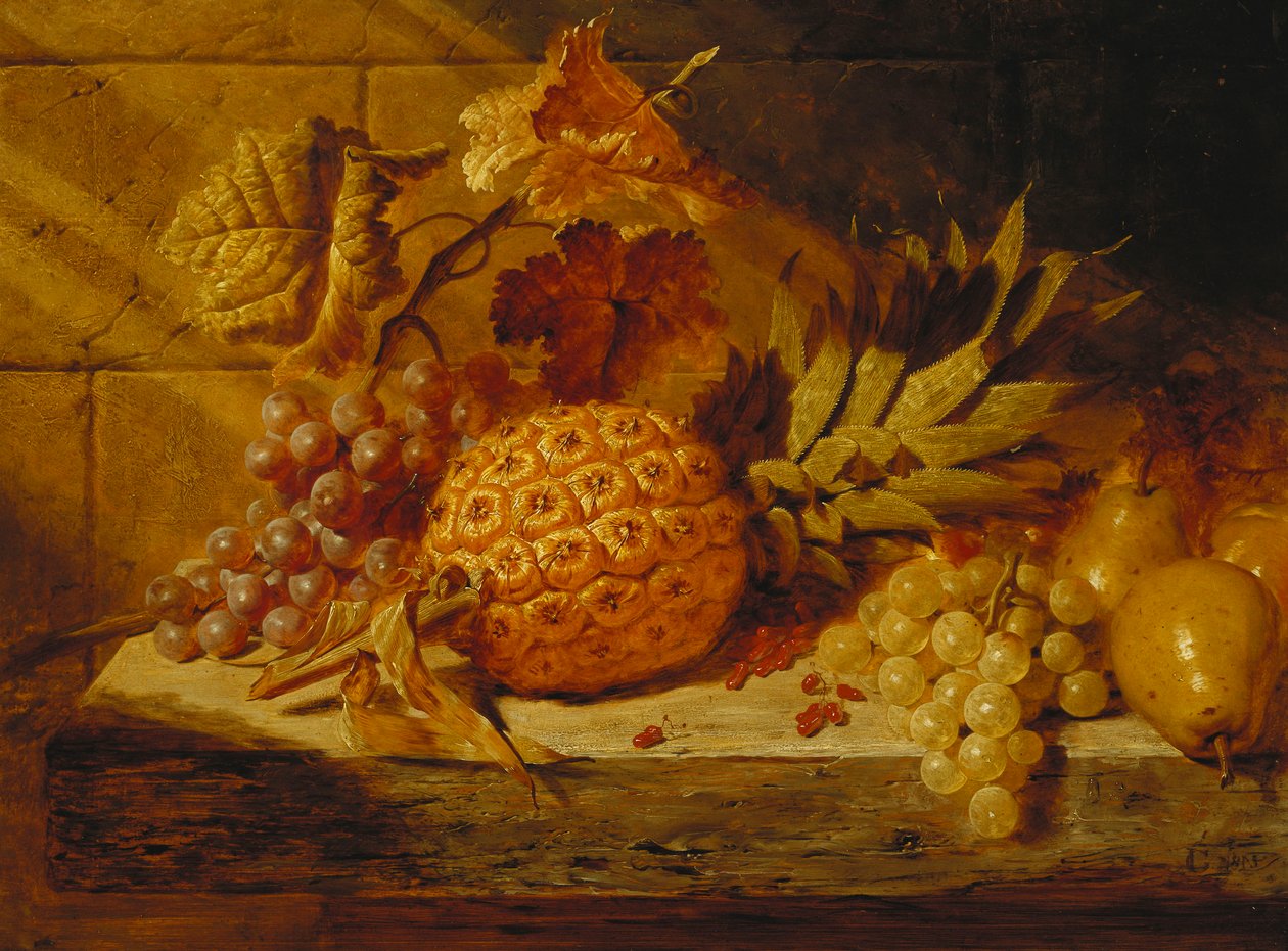 Uva bianca e nera, pere, ribes rosso e un ananas su un ripiano, 1845 da George Lance