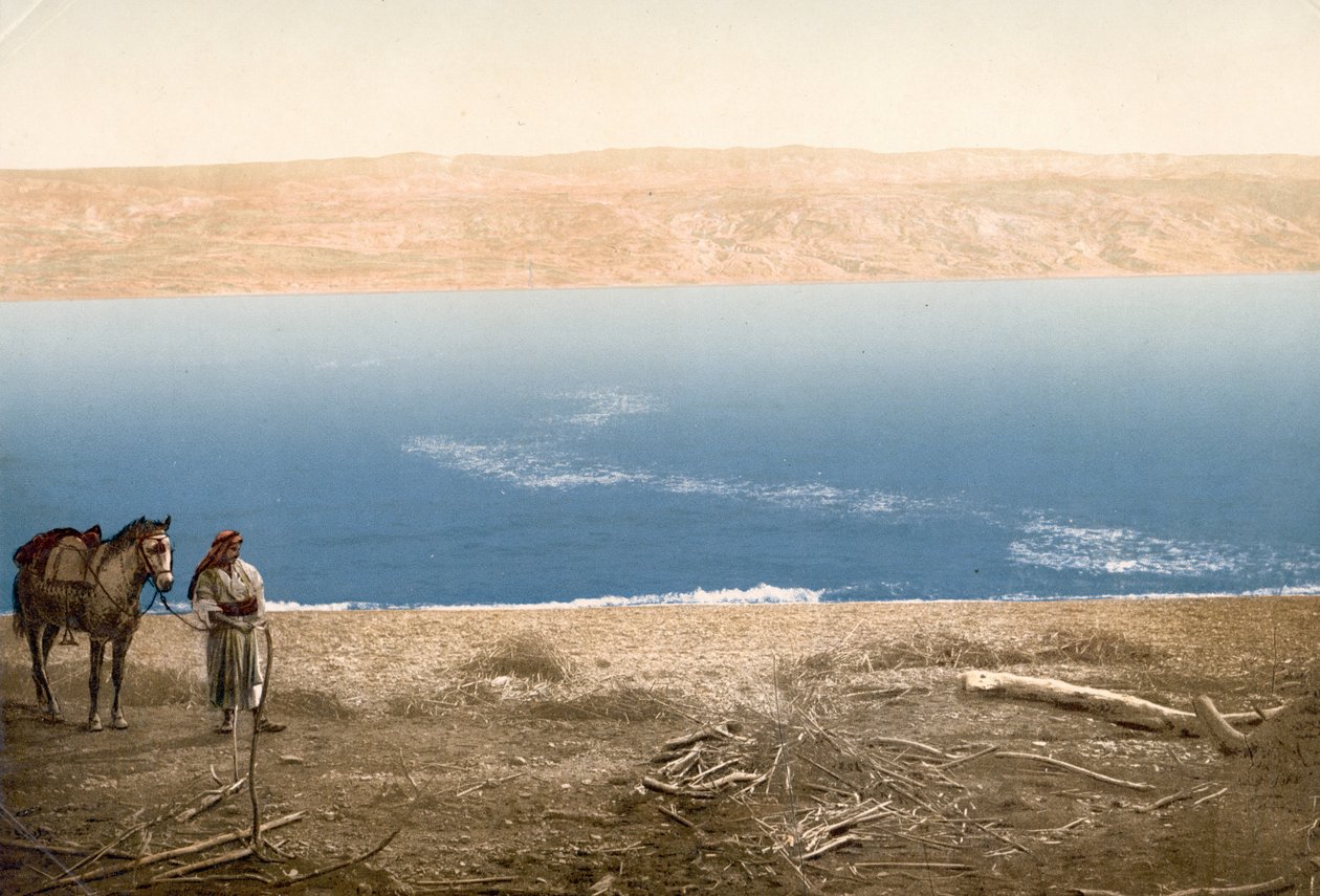 Uomo con cavallo vicino al Mar Morto da Bartolome Esteban and studio Murillo
