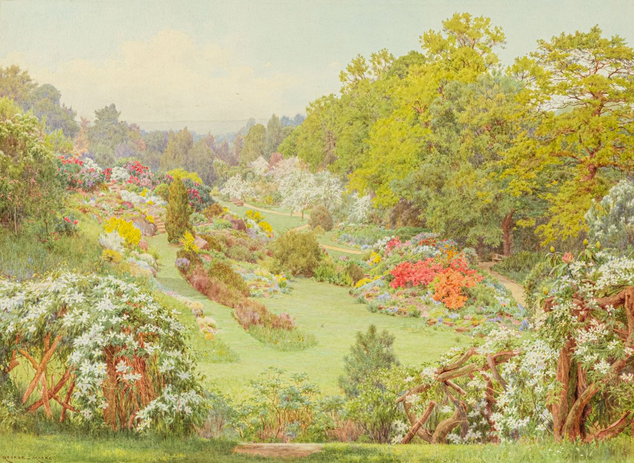 Fioriture primaverili da George Marks