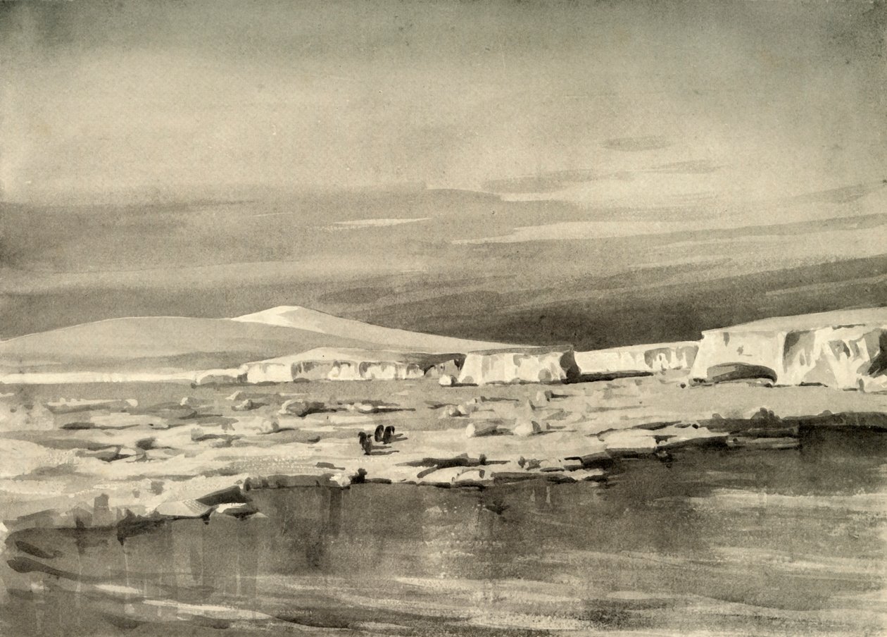 Baia delle Balene, o Balloon Bight, c1908 da George Marston
