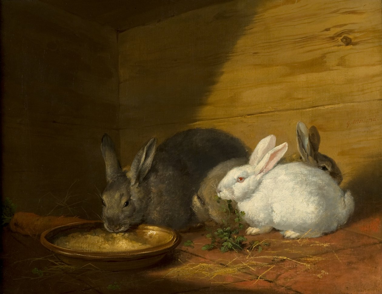 Conigli da George Morland