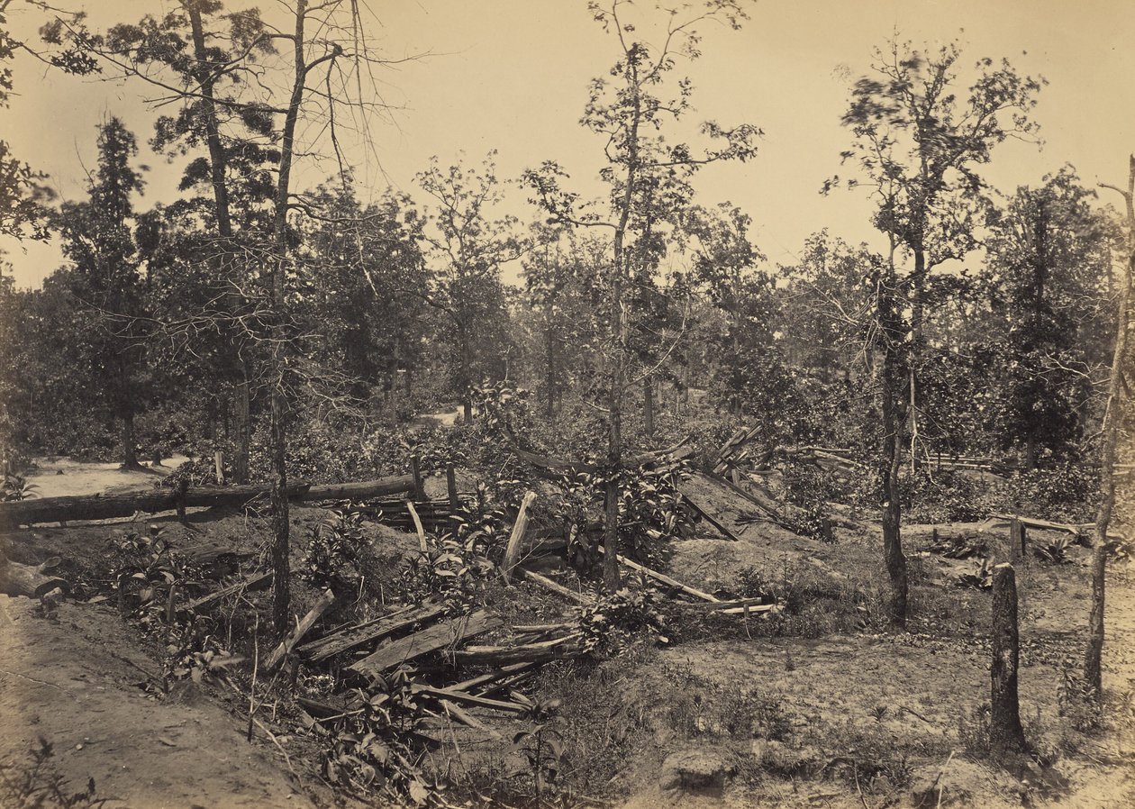 Campo di battaglia di Atlanta, Georgia, 22 luglio 1864, n. 1 da George N. Barnard