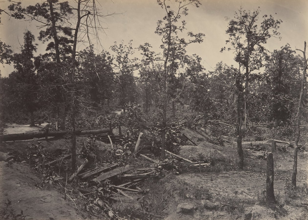 Campo di battaglia di Atlanta, Georgia, 22 luglio 1864 No. 1, 1860s da George N. Barnard