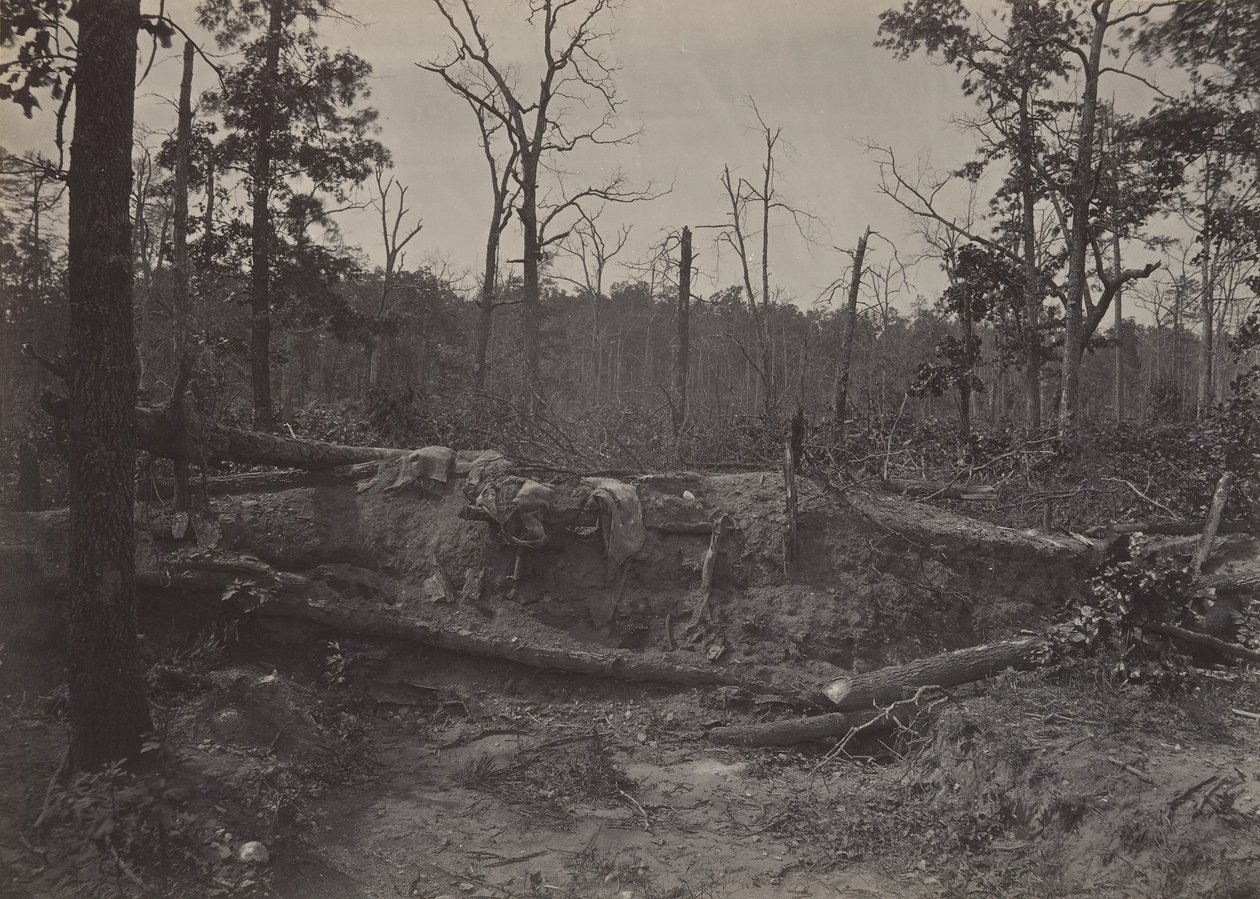 Campo di Battaglia di New Hope Church, Georgia No. 2, 1860s da George N. Barnard