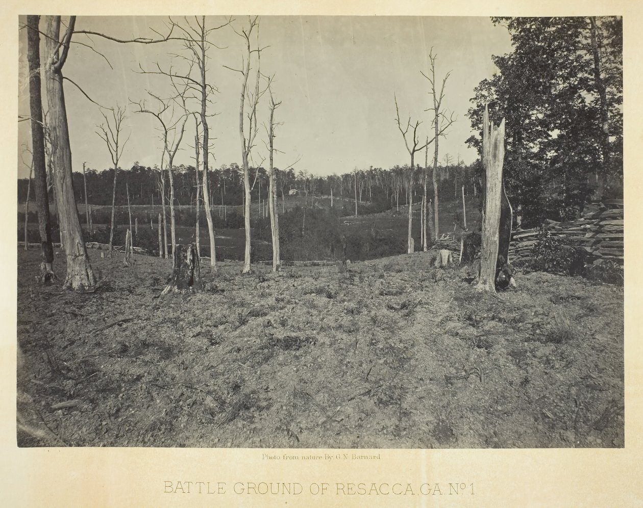 Campo di battaglia di Resacca, GA, n. 1, 1866 da George N. Barnard