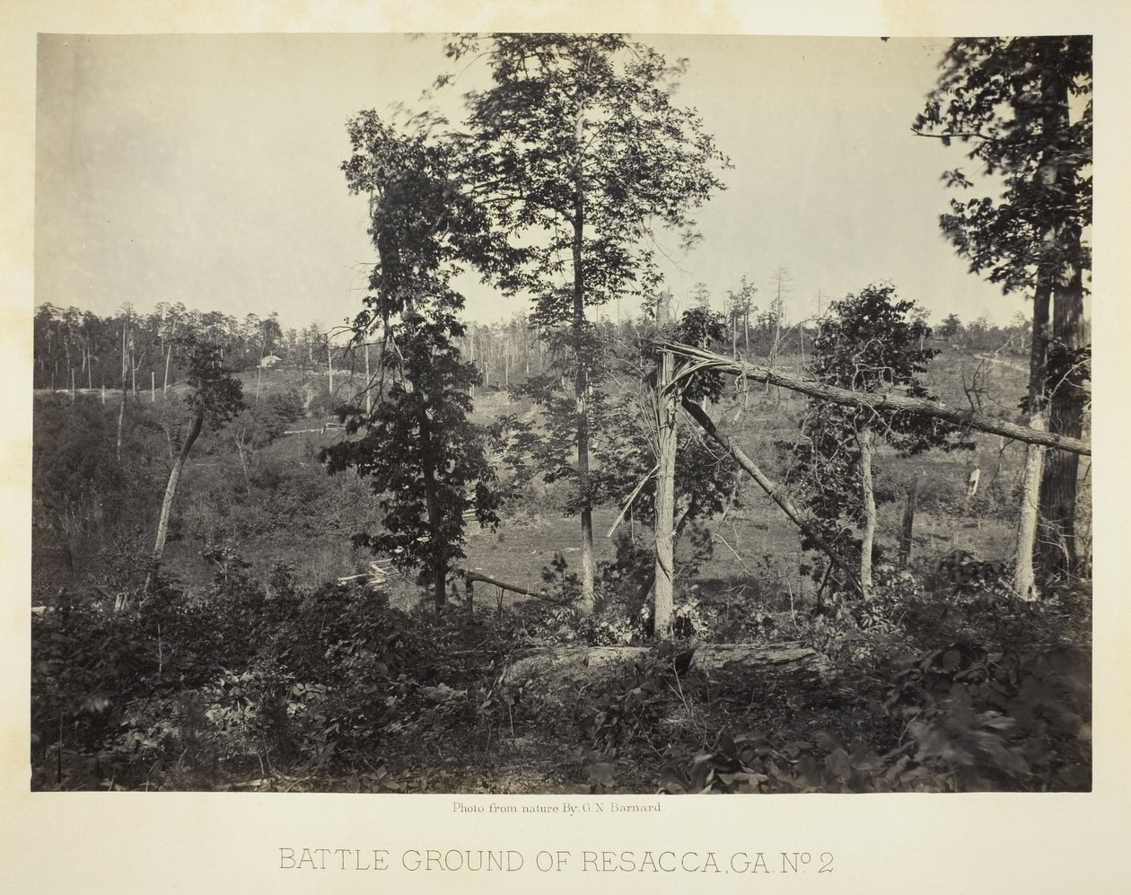 Terreno di battaglia di Resacca, GA, n. 2 da George N. Barnard