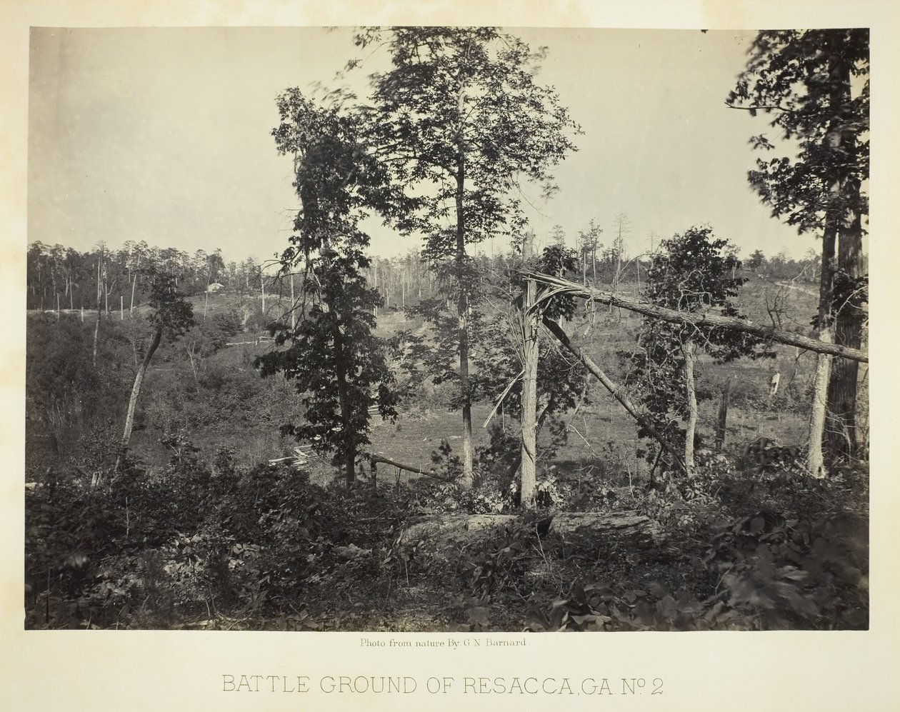 Campo di battaglia di Resacca, GA, No. 2 da George N. Barnard
