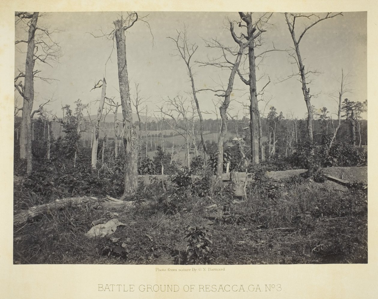 Terreno di battaglia di Resacca, GA, n. 3 da George N. Barnard