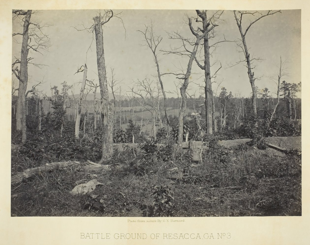 Campo di battaglia di Resacca, GA, No. 3, 1866 da George N. Barnard