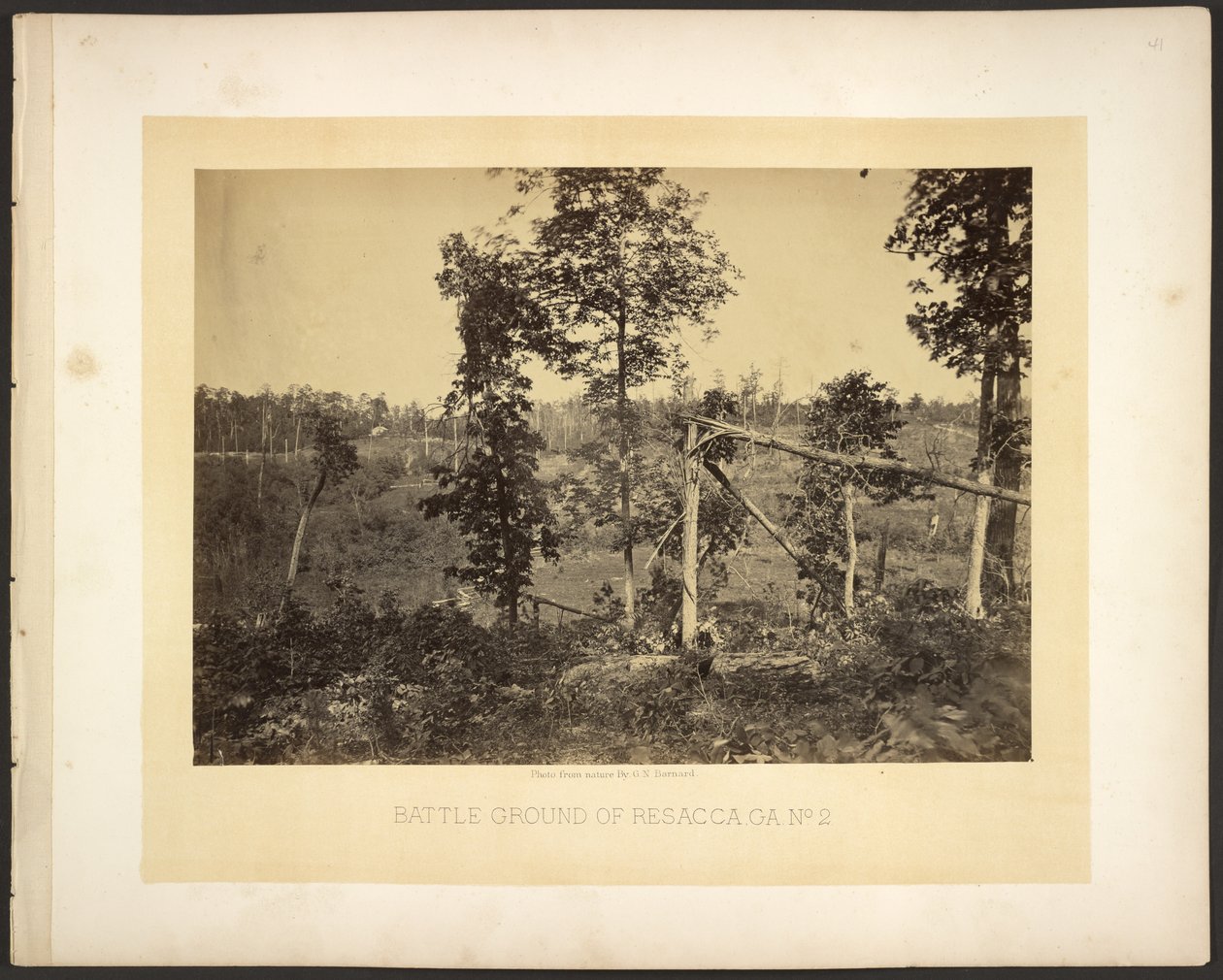 Terreno di battaglia di Resacca, Ga. No. 2 da George N. Barnard