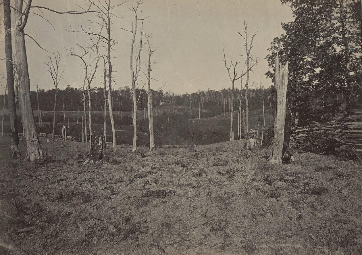 Campo di battaglia di Resacca, Georgia No. 1, 1860s da George N. Barnard