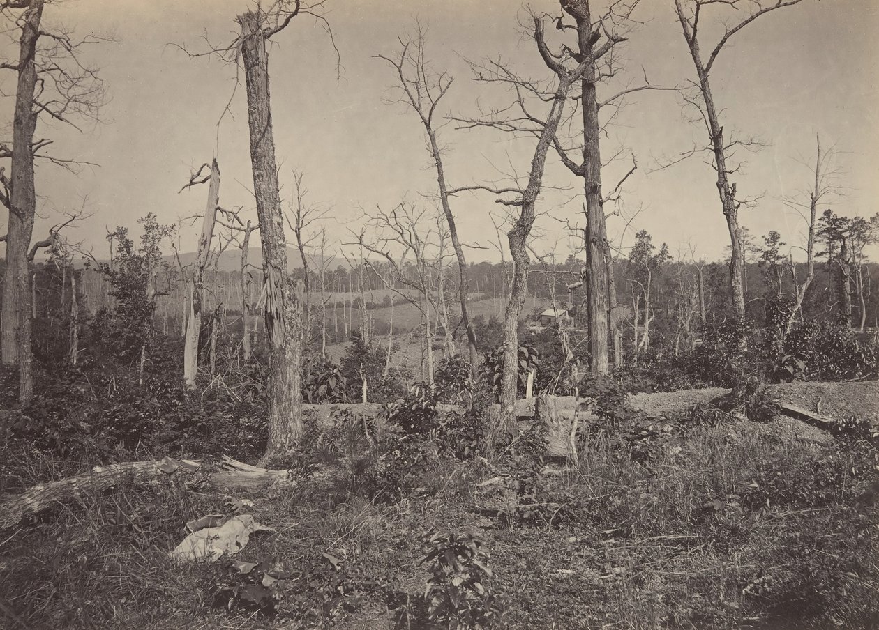 Campo di battaglia di Resacca, Georgia No. 3, 1860 da George N. Barnard
