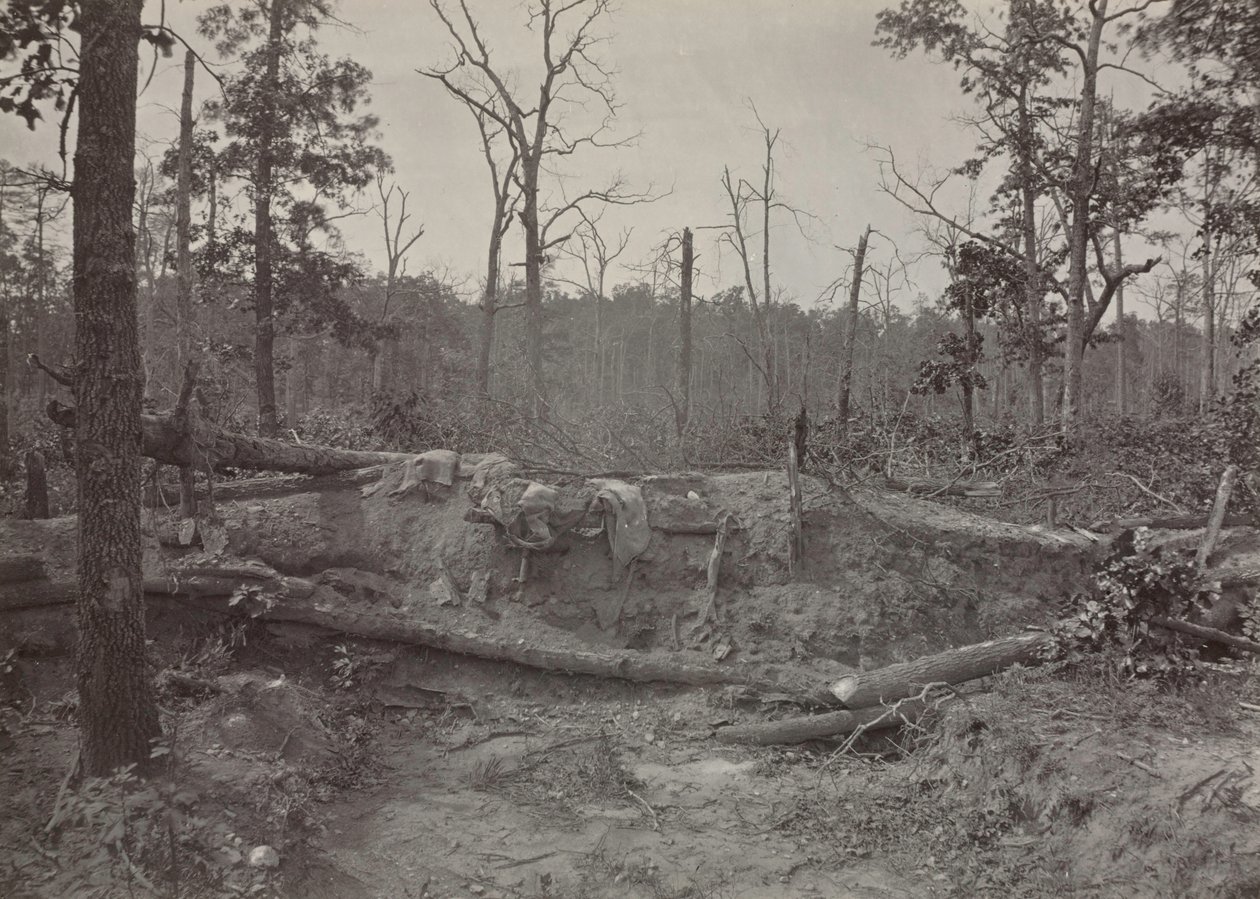 Campo di battaglia di New Hope Church, Georgia, n. 2, 1865-1866 da George N. Barnard
