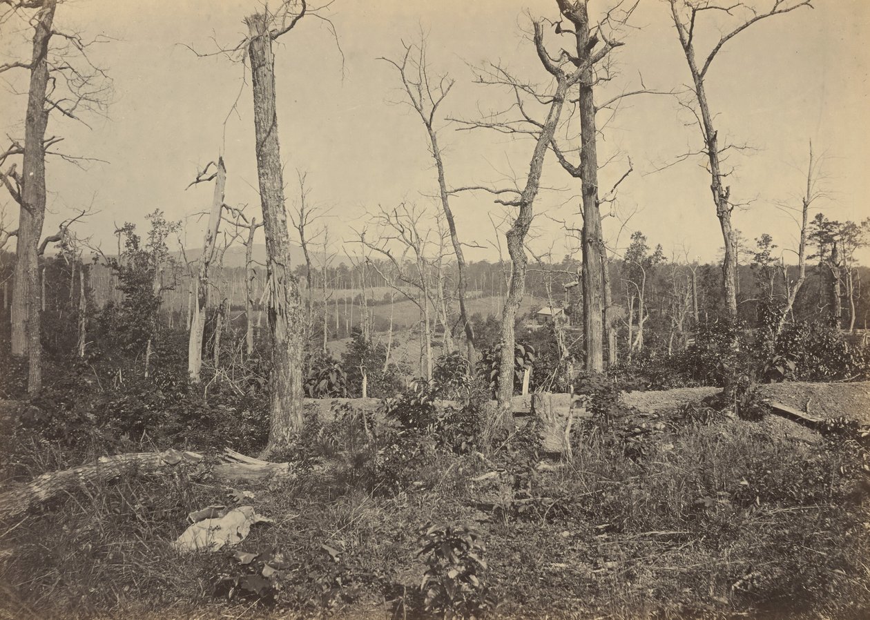 Campo di battaglia di Resaca, Georgia, n. 3.1864 (foto) da George N. Barnard