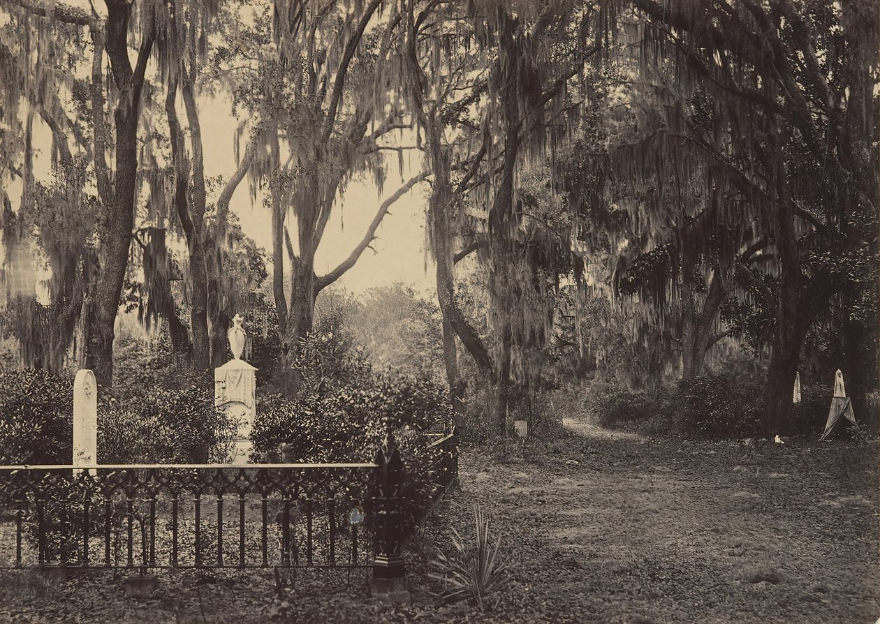 Buen-Ventura, Savannah, Georgia da George N. Barnard