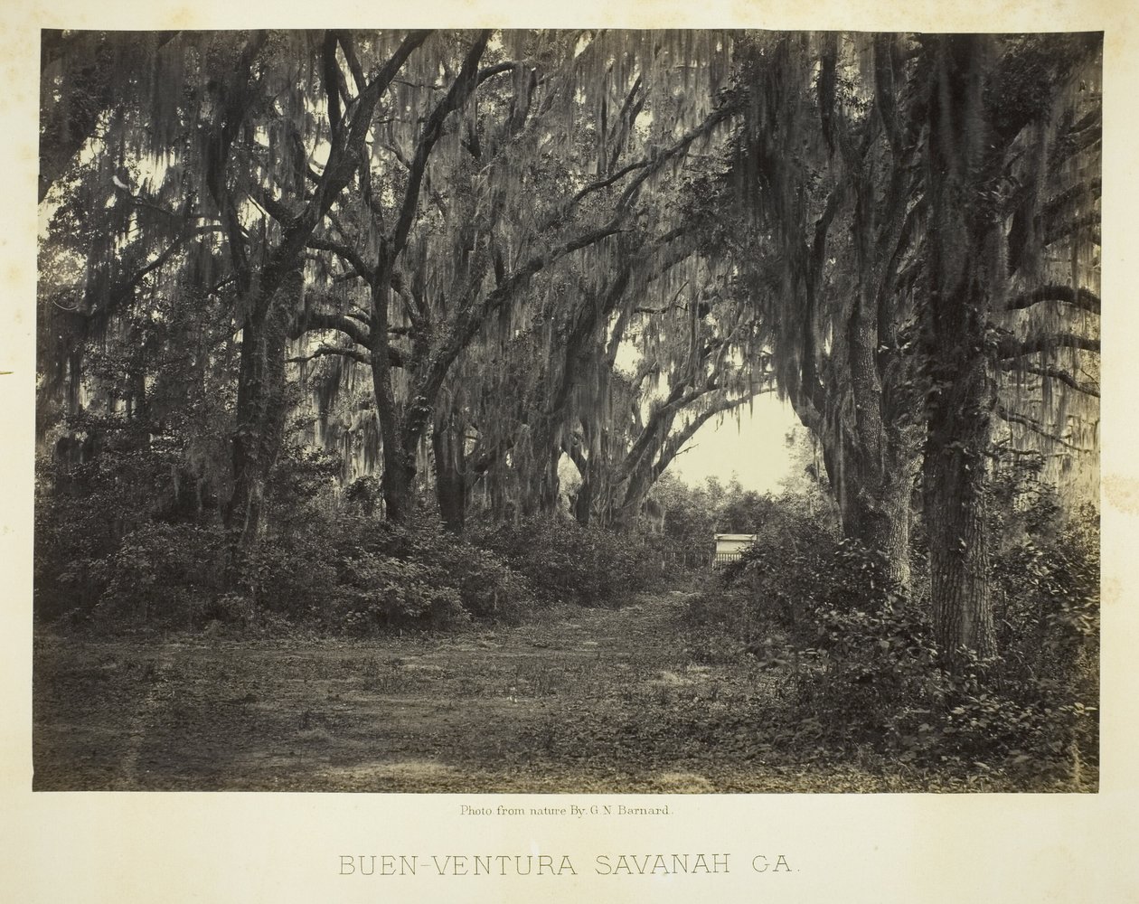 Buen-Ventura Savannah, Ga. da George N. Barnard