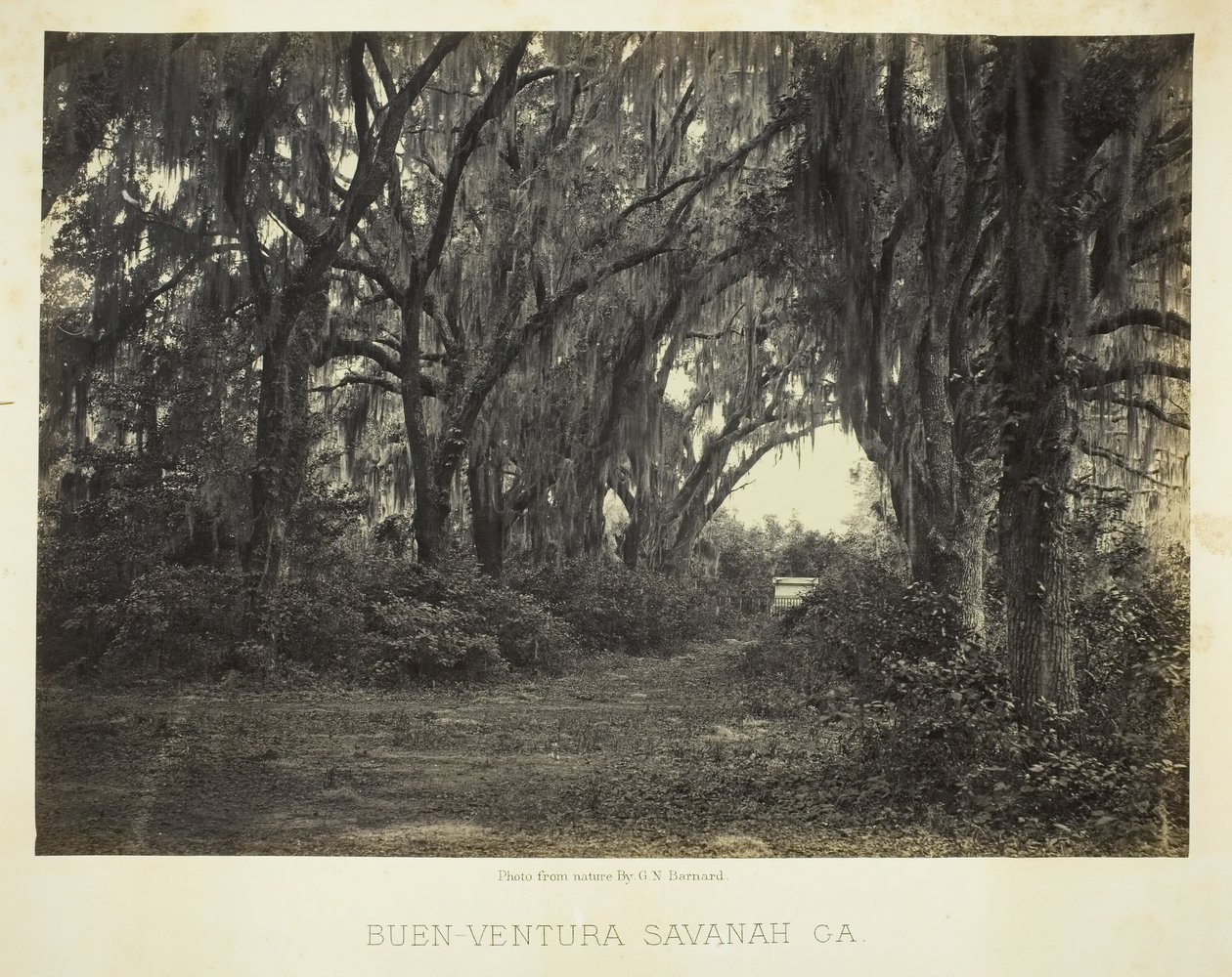 Buen-Ventura Savannah, Ga., 1866 da George N. Barnard