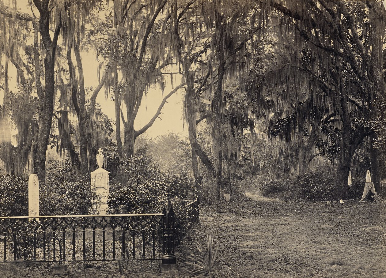 [Buen-Ventura, Savannah, Georgia] da George N. Barnard