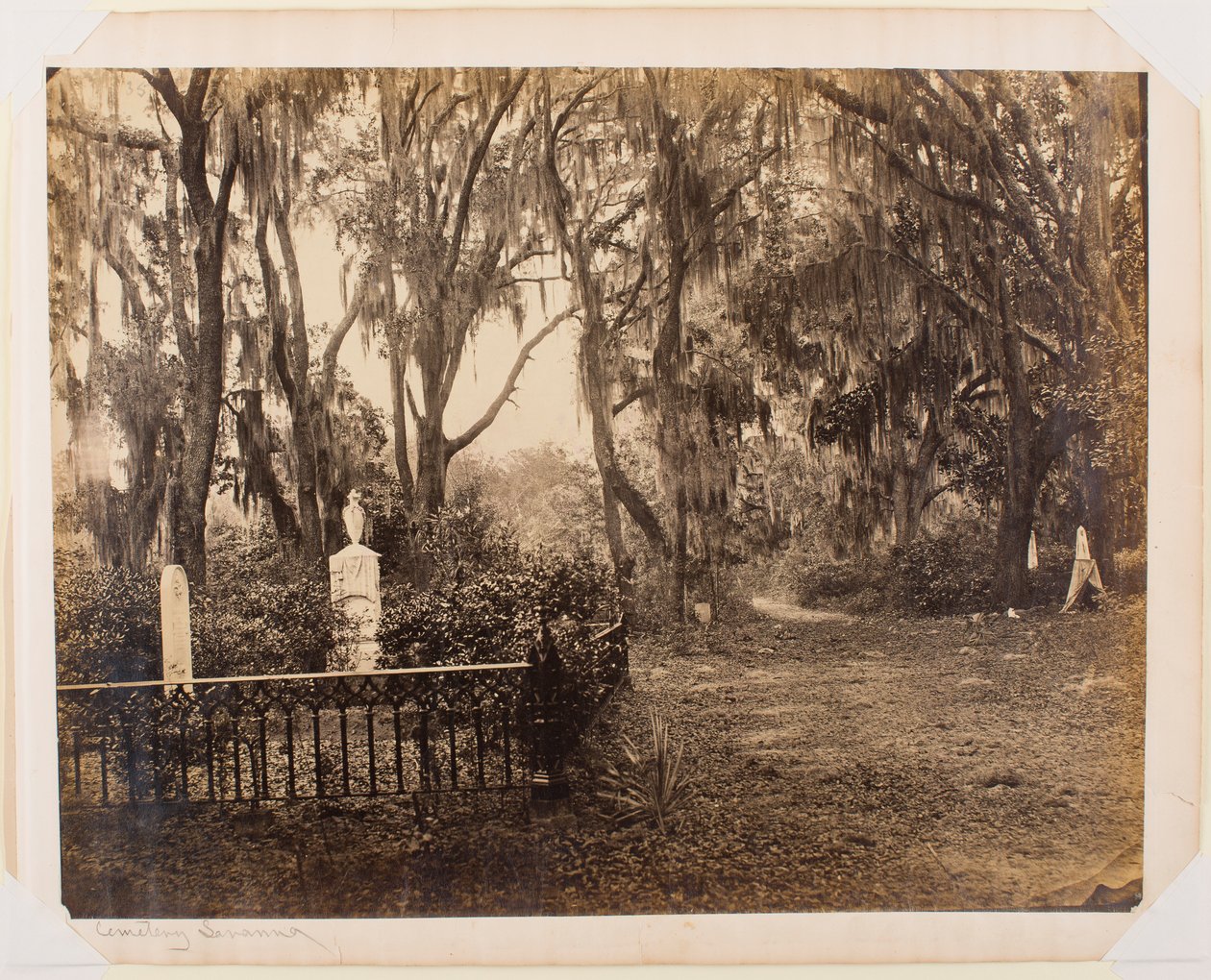 Buen-Ventura, Savannah, Georgia da George N. Barnard