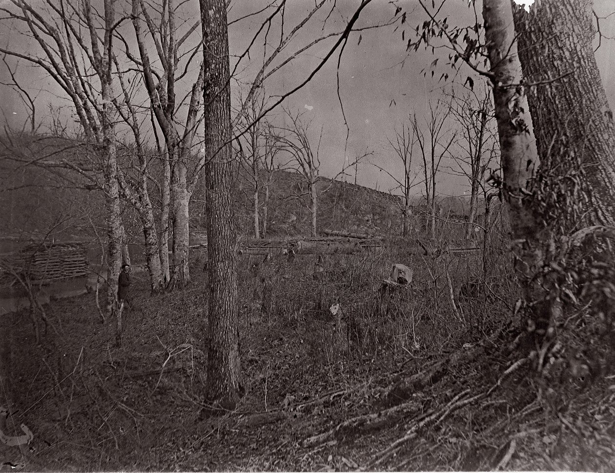 Bull Run, Virginia, 1861-62 da George N. Barnard