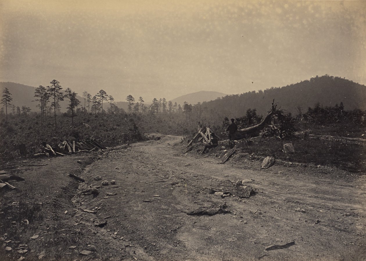 Buzzard Roost, Georgia da George N. Barnard