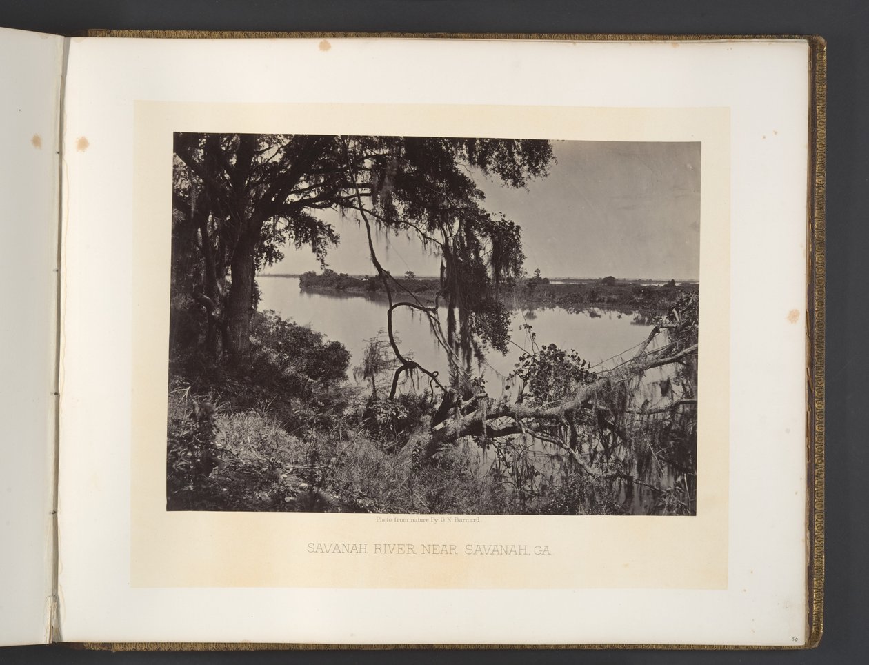 Fiume Savannah, presso Savannah, Georgia da George N. Barnard